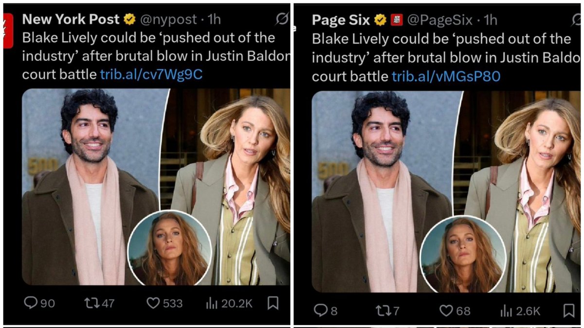 blakesdragon🐉 tweet media