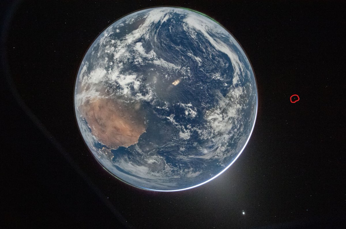 Attic Muse tweet media