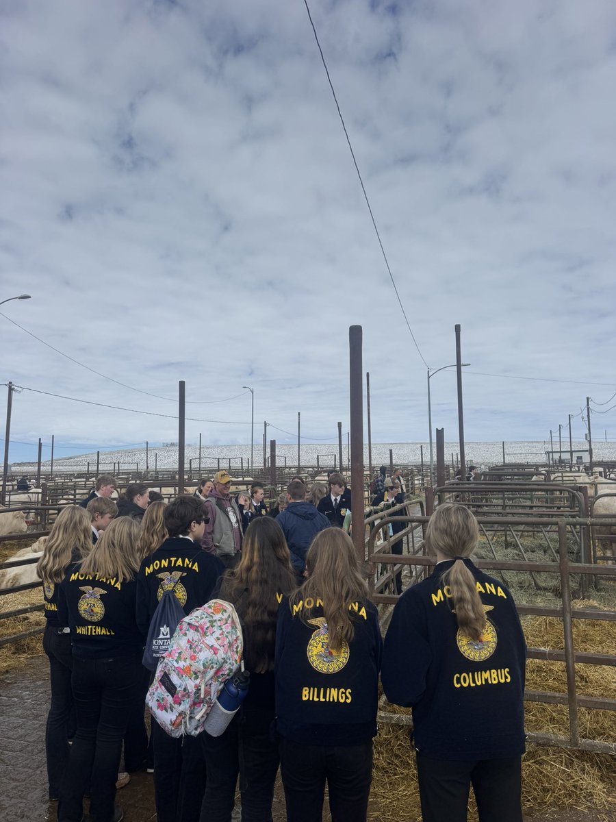 DeBruycker Charolais tweet media