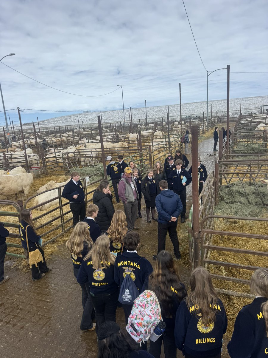 DeBruycker Charolais tweet media