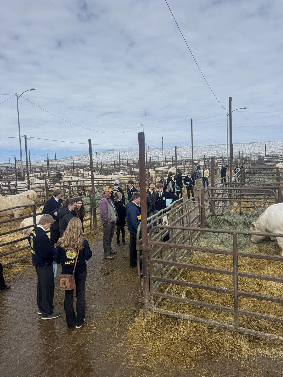 DeBruycker Charolais tweet media