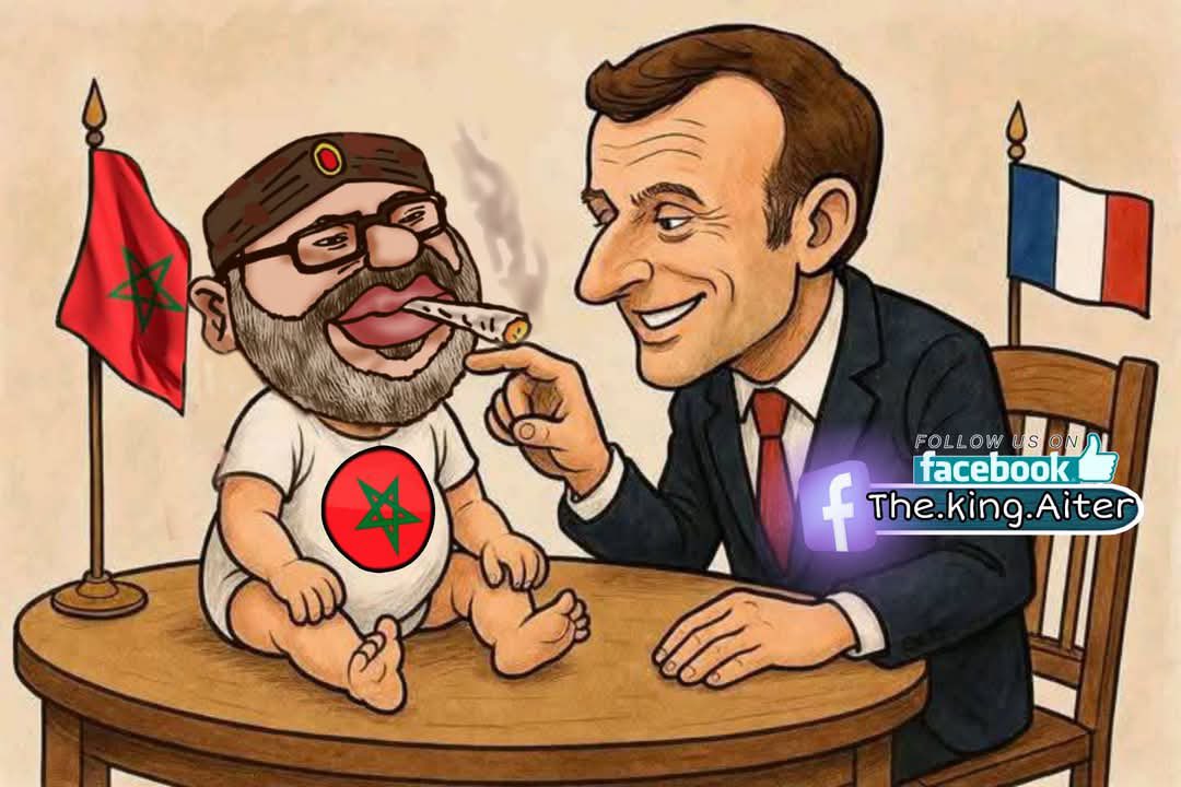 reda tweet media