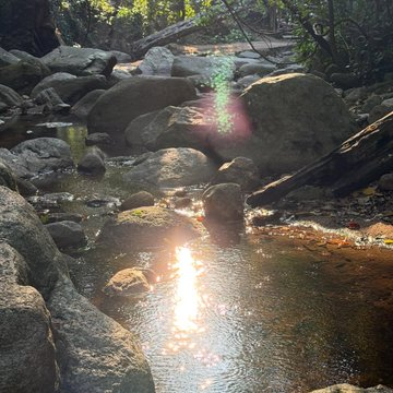 🦭 Build Jakapan 🎷 FC ESP🇪🇸 tweet media