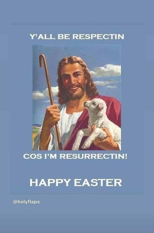 Rob Sharpe tweet media