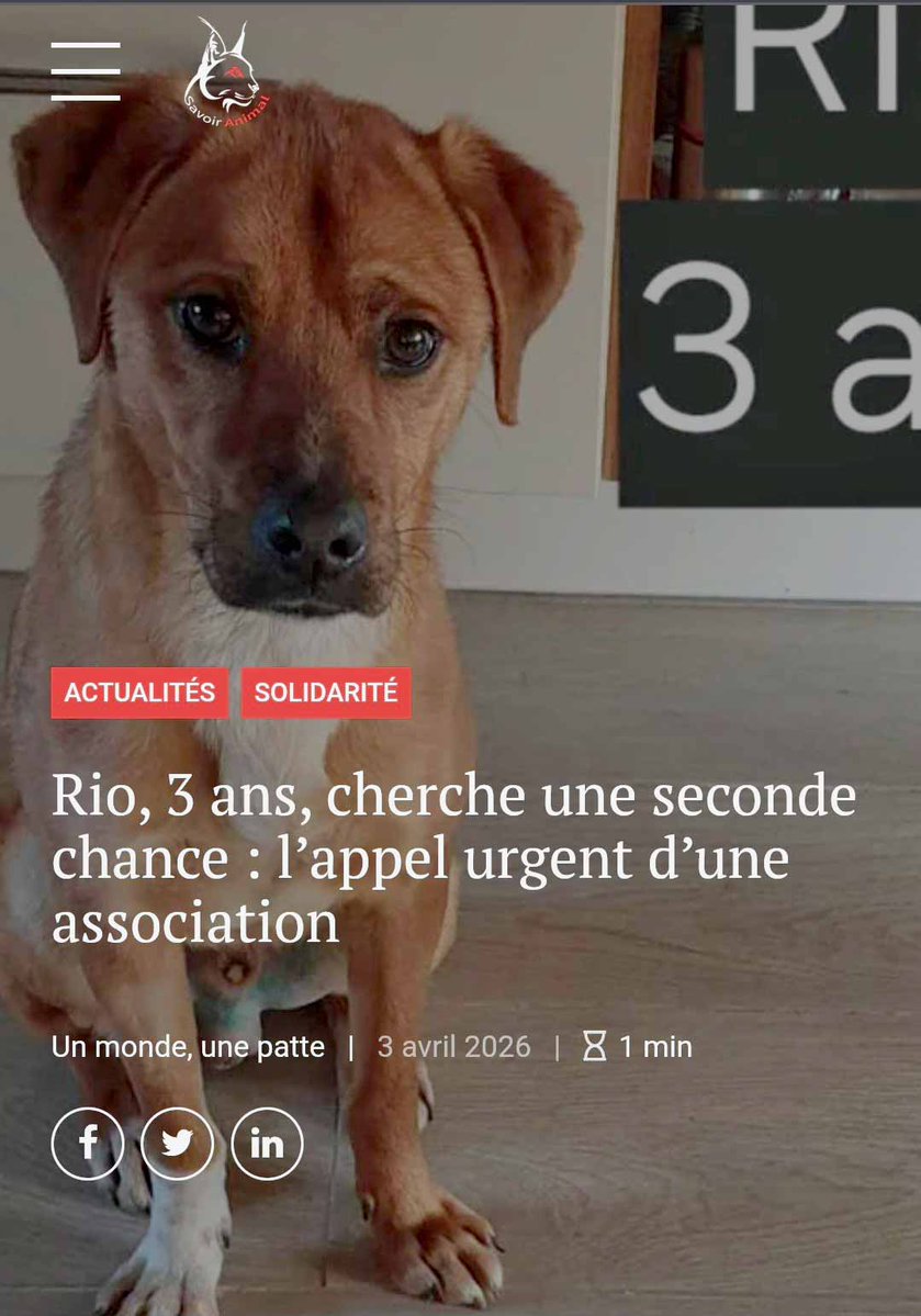 Savoir Animal, Le Magazine des Animaux tweet media