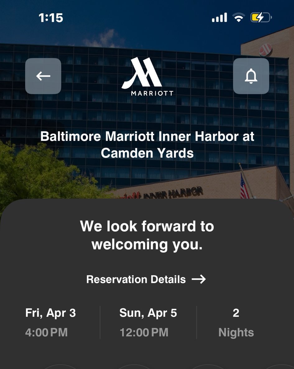 MsHeadofState tweet media