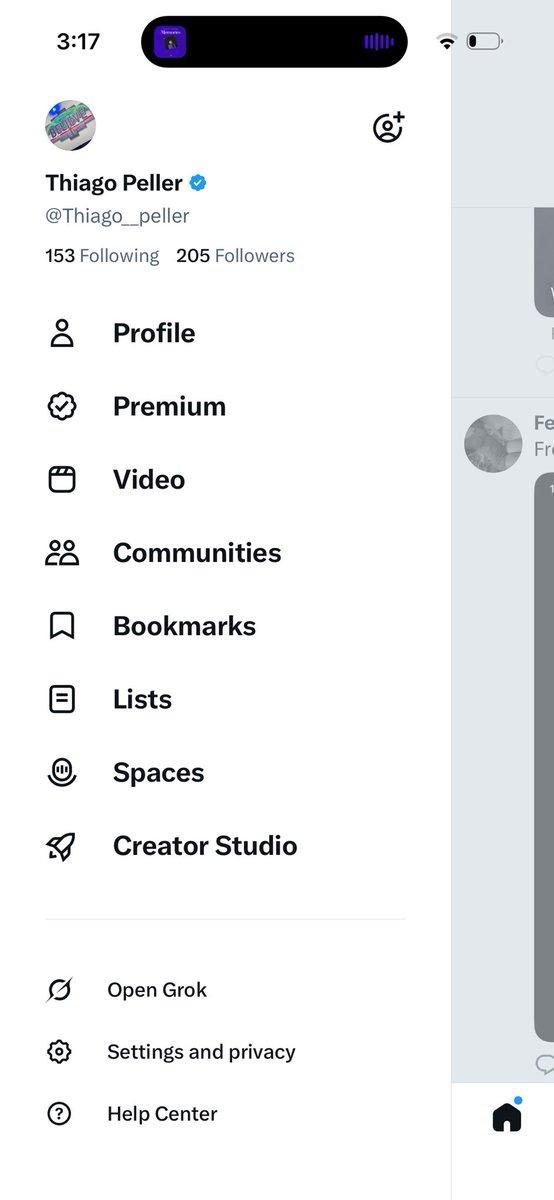Thiago Peller tweet media