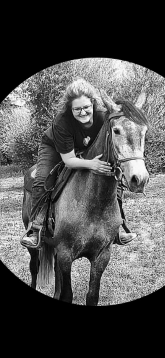 mauro bussolati tweet media