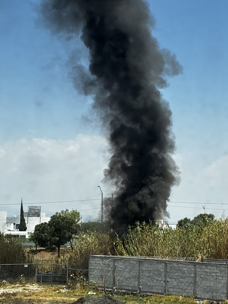 José Armando López Portillo tweet media