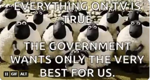 Zippy509 tweet media