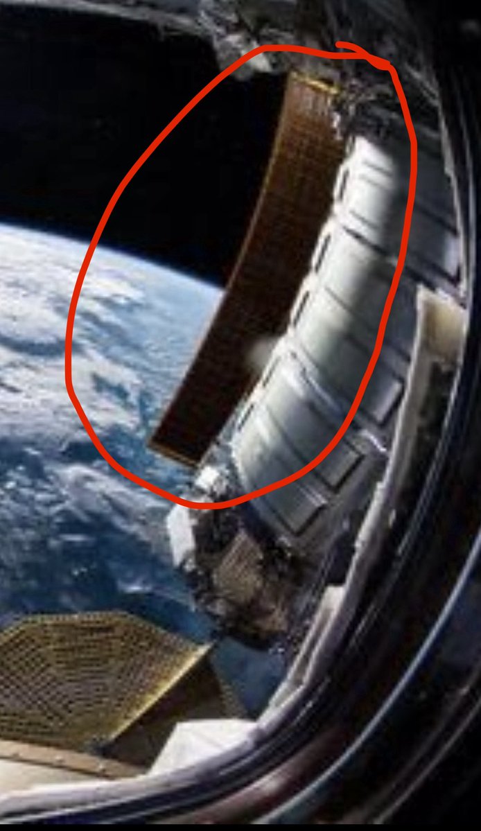 FlowerMantis tweet media