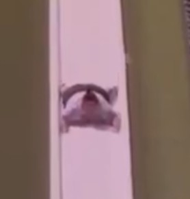 El Ninihilista tweet media