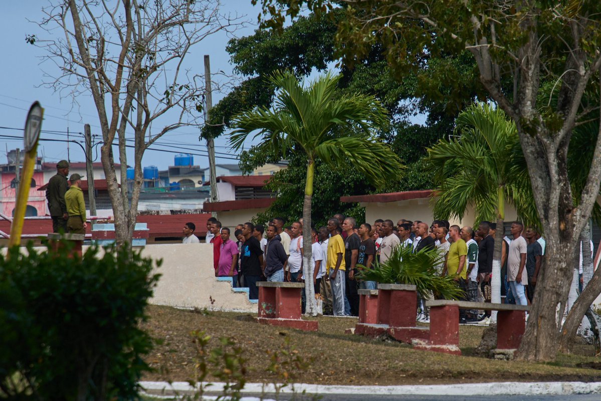 Megan Janetsky tweet media