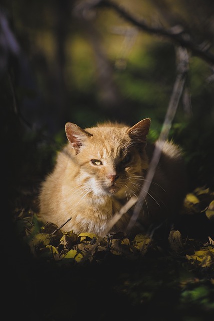 James Stephens tweet media