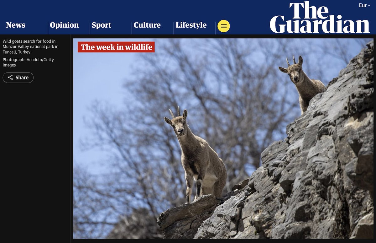 Sidar Eren tweet media