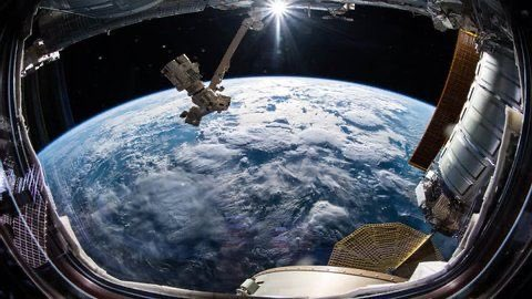 FlowerMantis tweet media