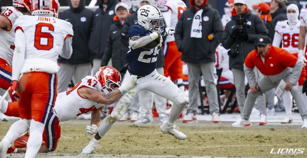 Lions247 tweet media