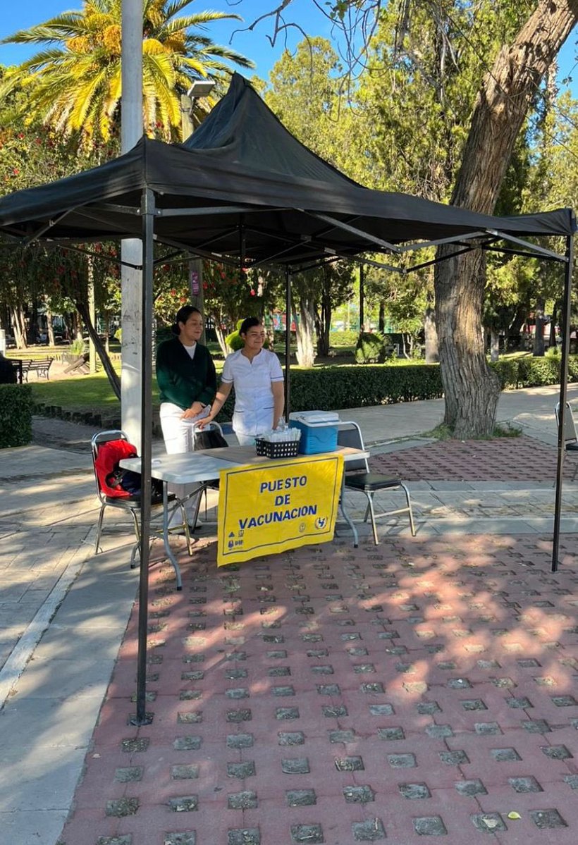 @IMSSDgo tweet media