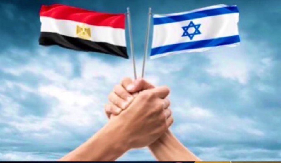 الماجـد tweet media
