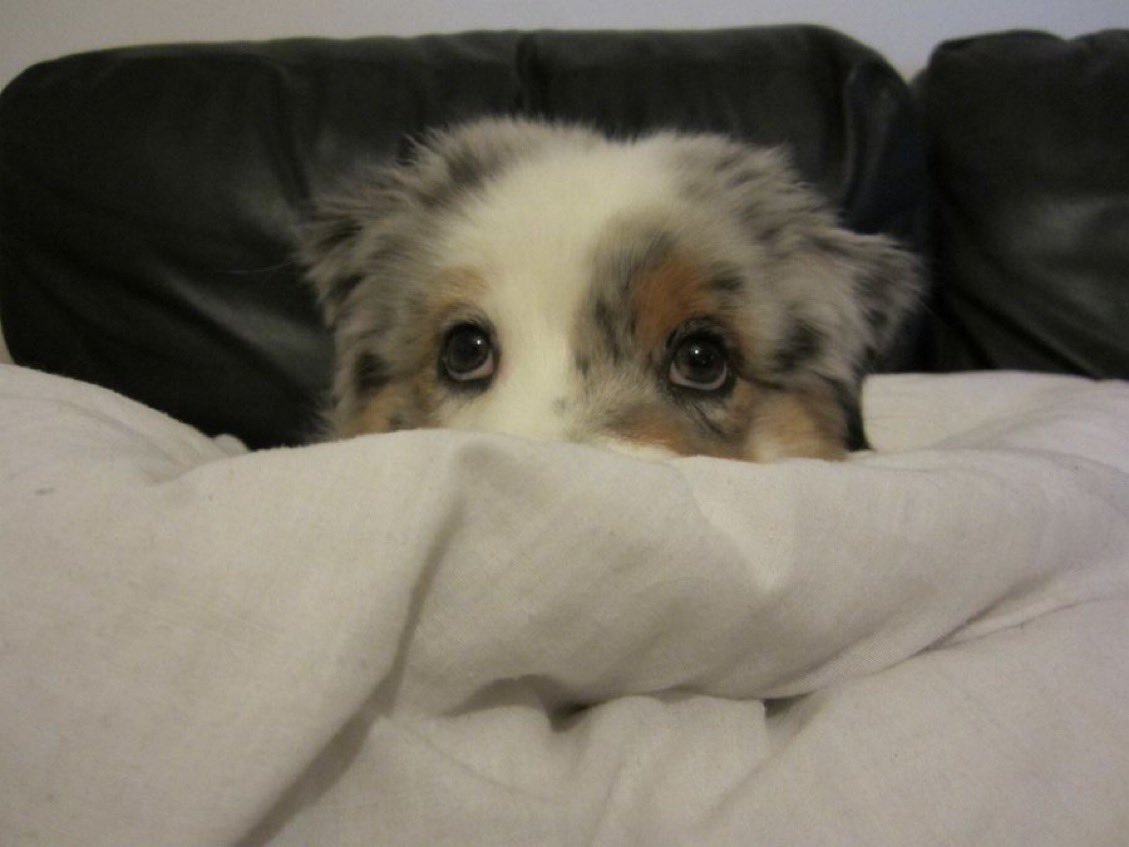 ⛓️ Rahliber ⛓️ tweet media