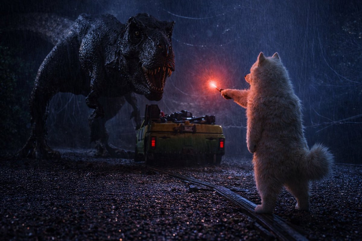 FishLife tweet media