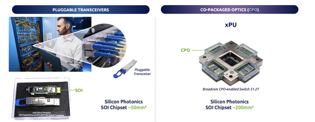 Michael Sikand 🦑 tweet media