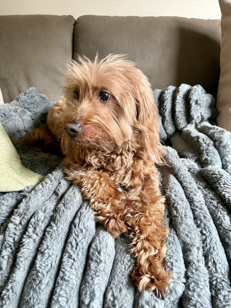 Lori Tecler tweet media