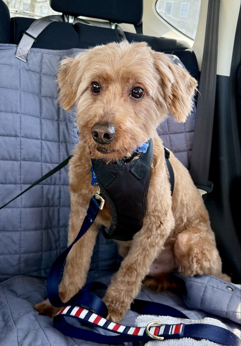 Lori Tecler tweet media