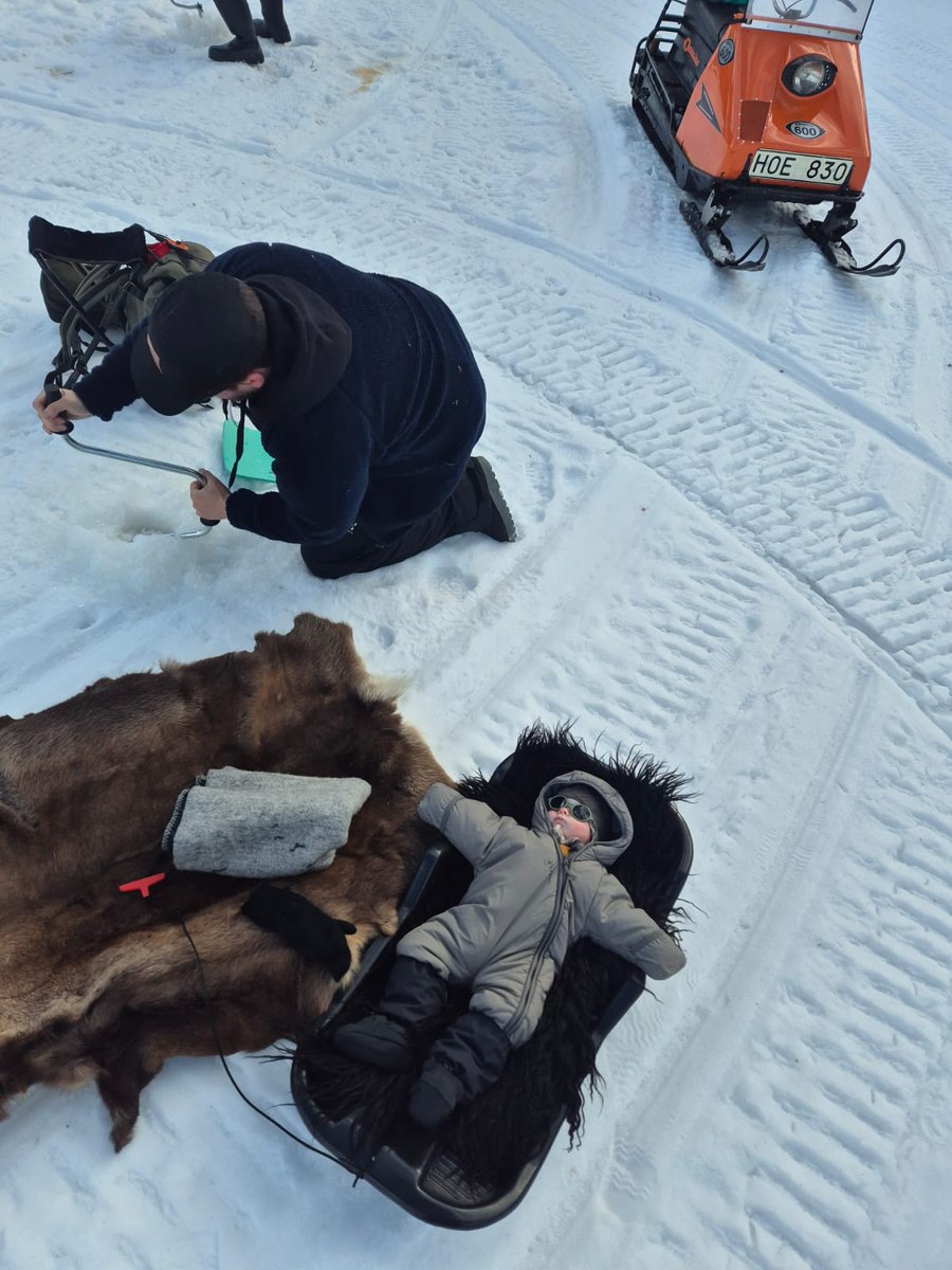 Fredrik Movenius tweet media