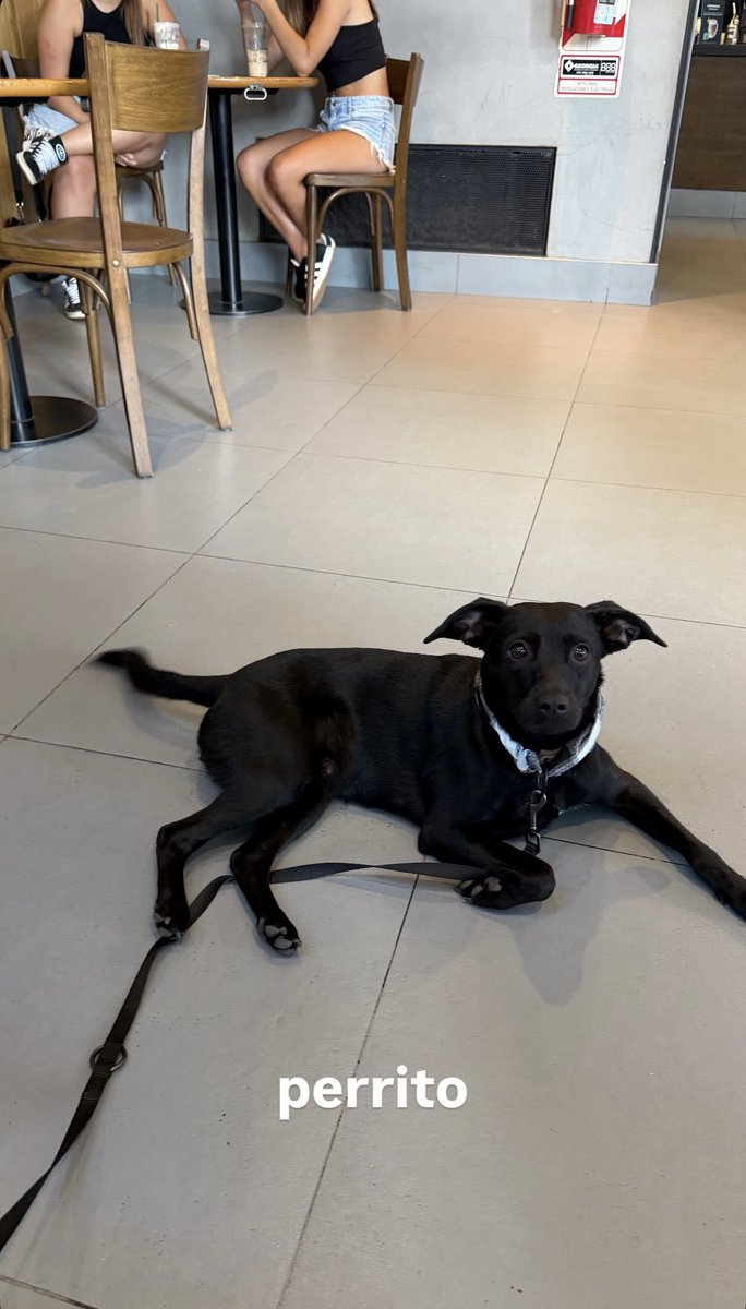 ana sach 🌶️ tweet media