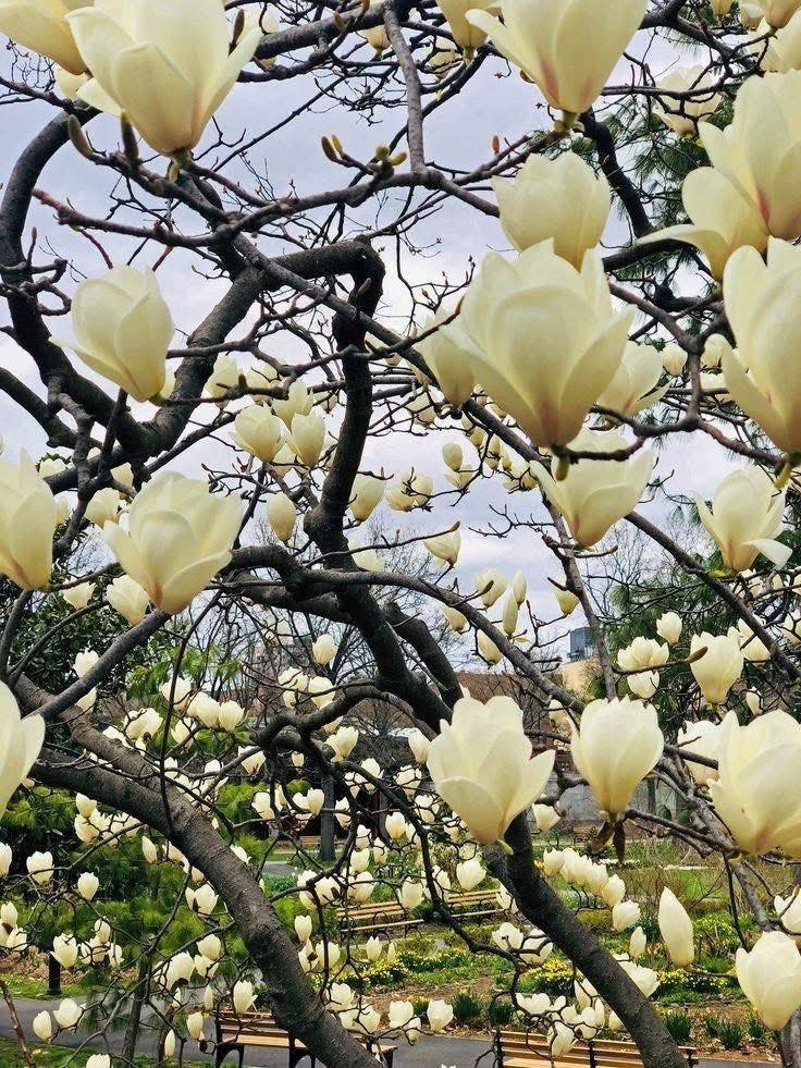 Sundance1054 tweet media