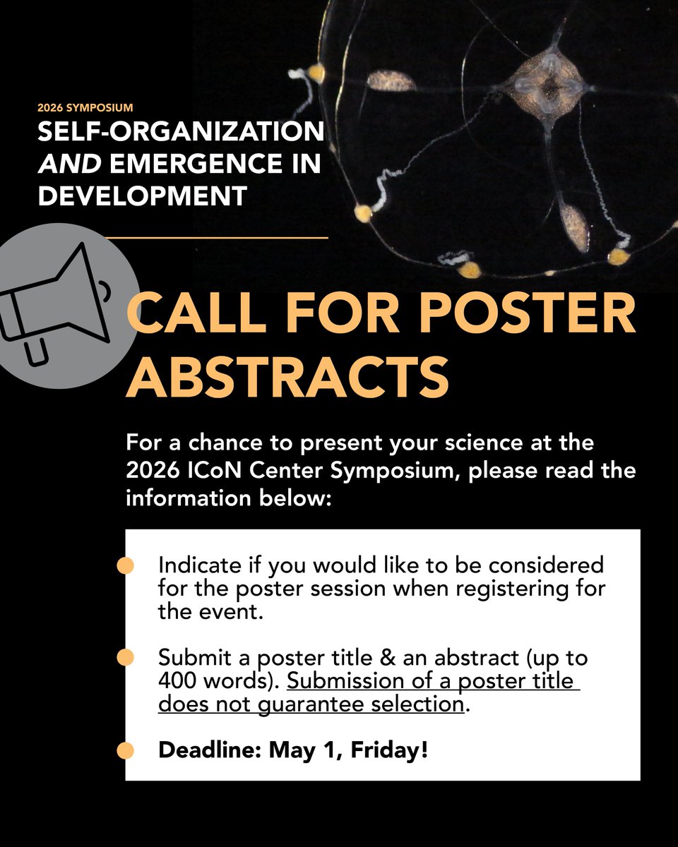 Yang Tan Collective tweet media