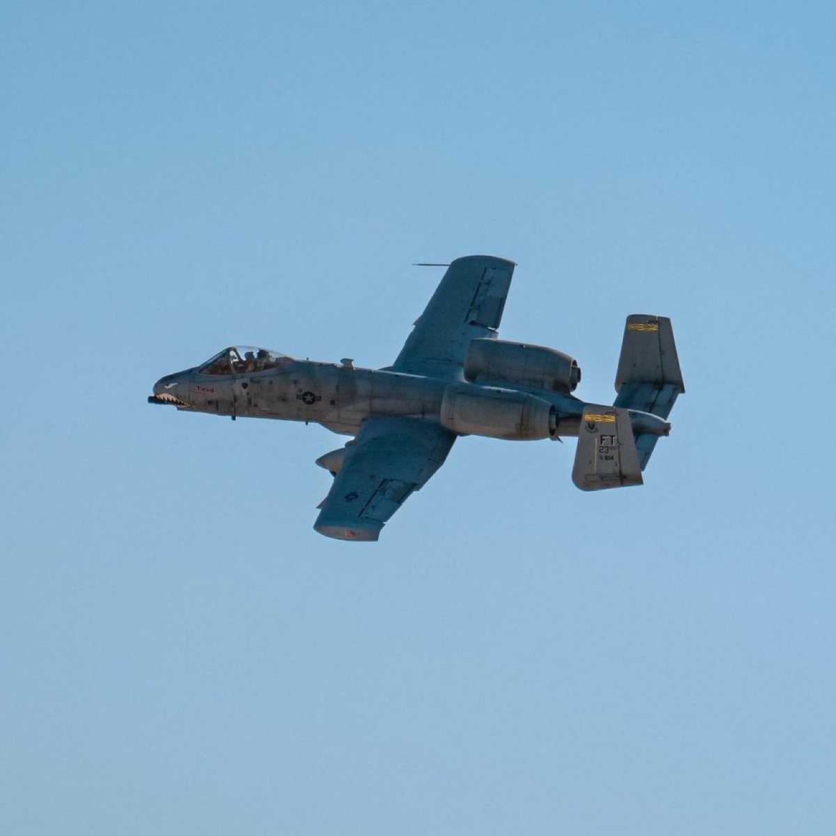 Nova Haber tweet media