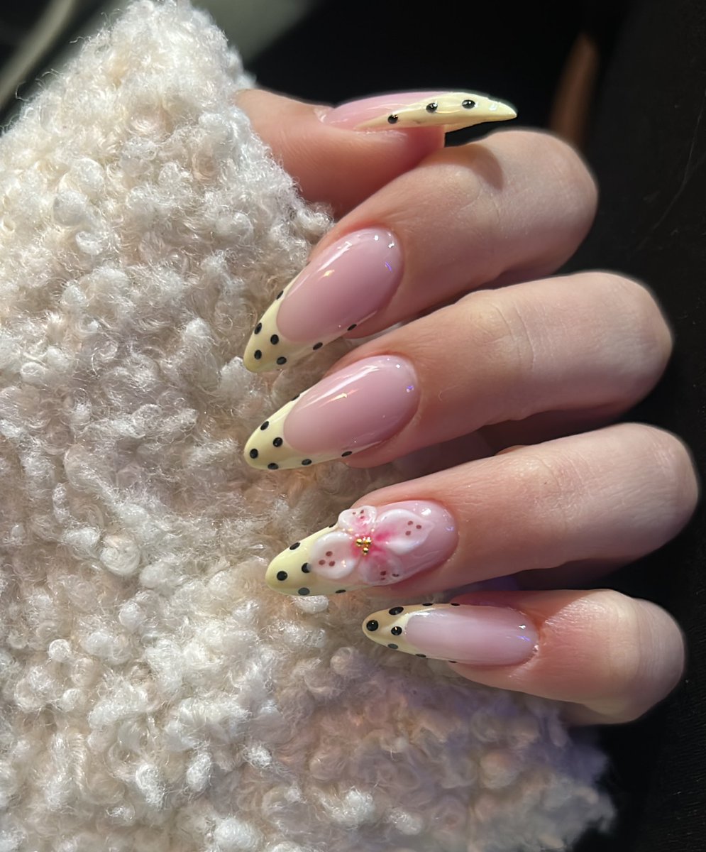 anna🐾 tweet media