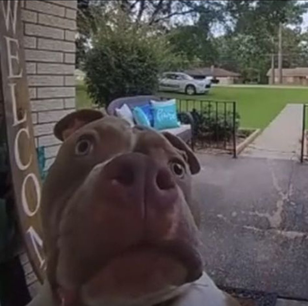 Тиммати tweet media