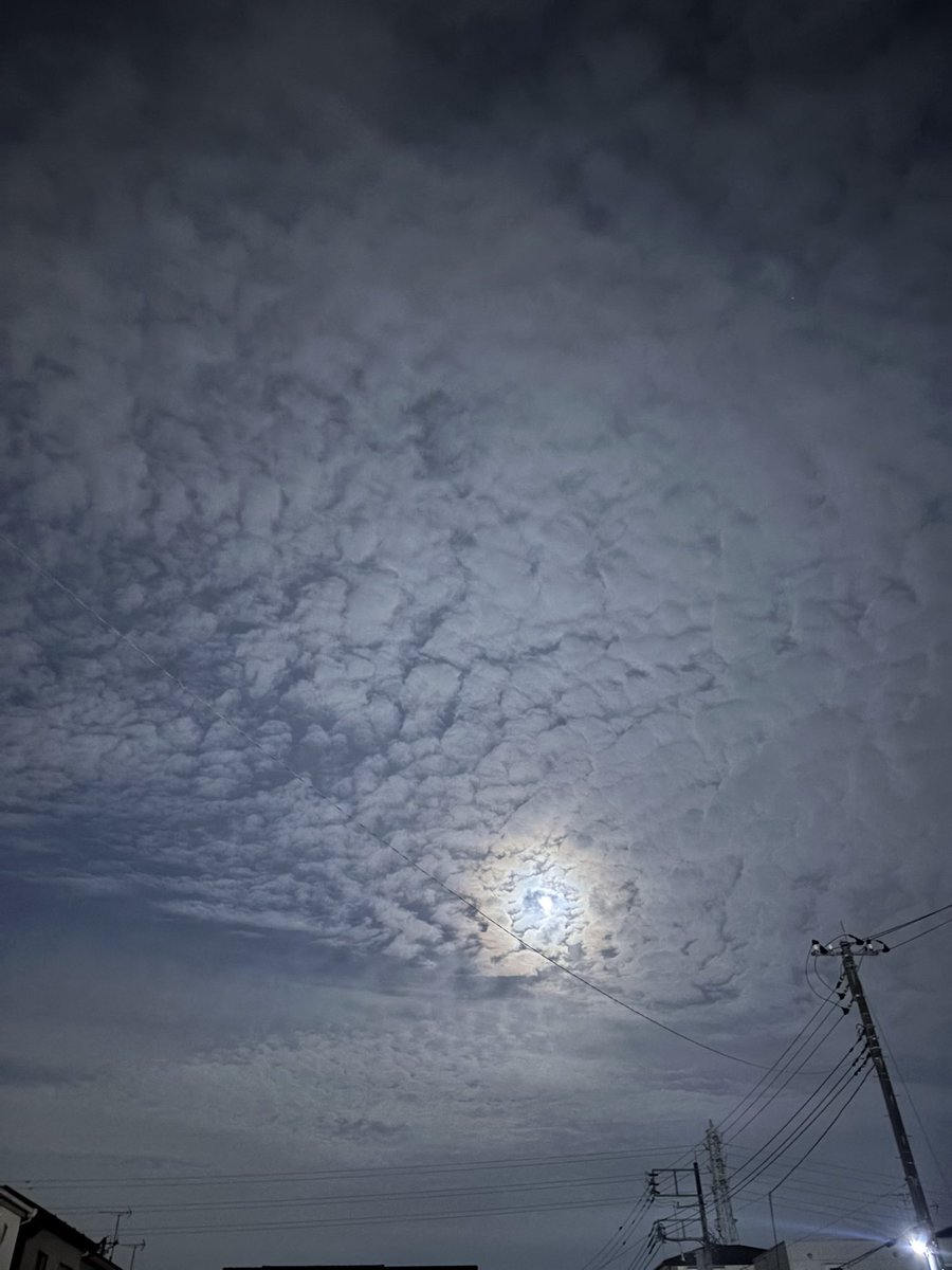 🌺親方🐴 tweet media