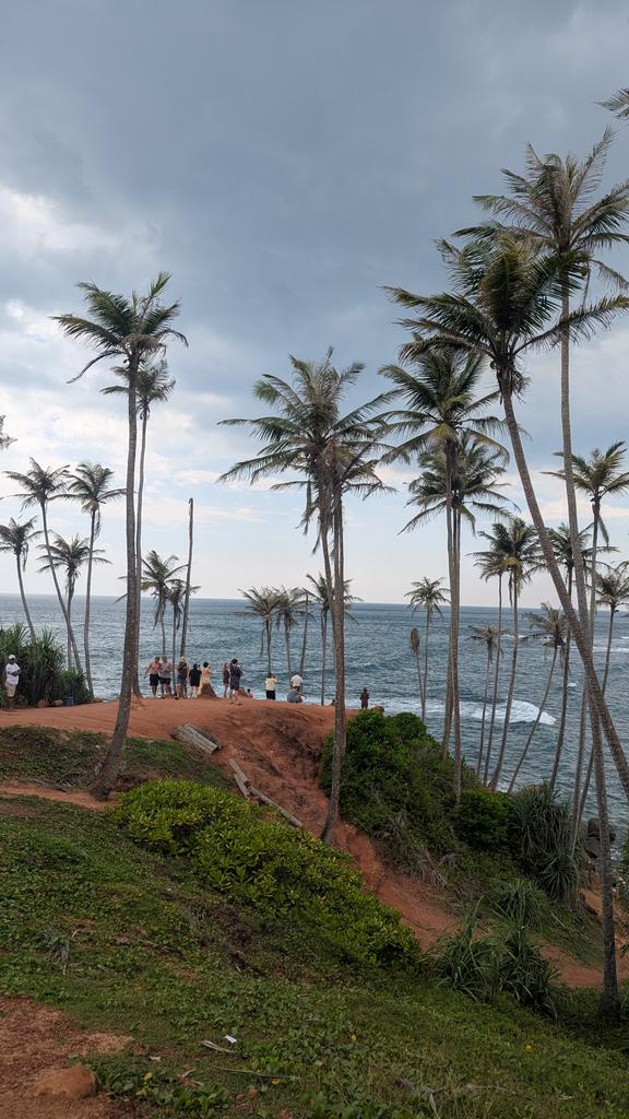 vigneshj619's tweet photo. Sri Lanka Itinerary: 7 days 🧵
Day 0: Landed in the night
Airport:
Sim - Dialog best (Not with pixel), other option - slt , 1.2k inr unlimited
Driving License - 4.4k inr with Indian licence 
Car rental - Booked from day 3 (5-7k inr/day)
Cash - usd to lkr fr best rates - mandatory https://t.co/mlkNxROIKe