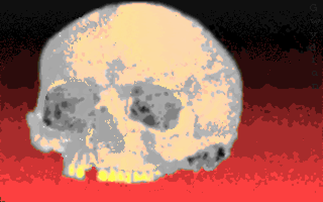 GIFS GALORE tweet media