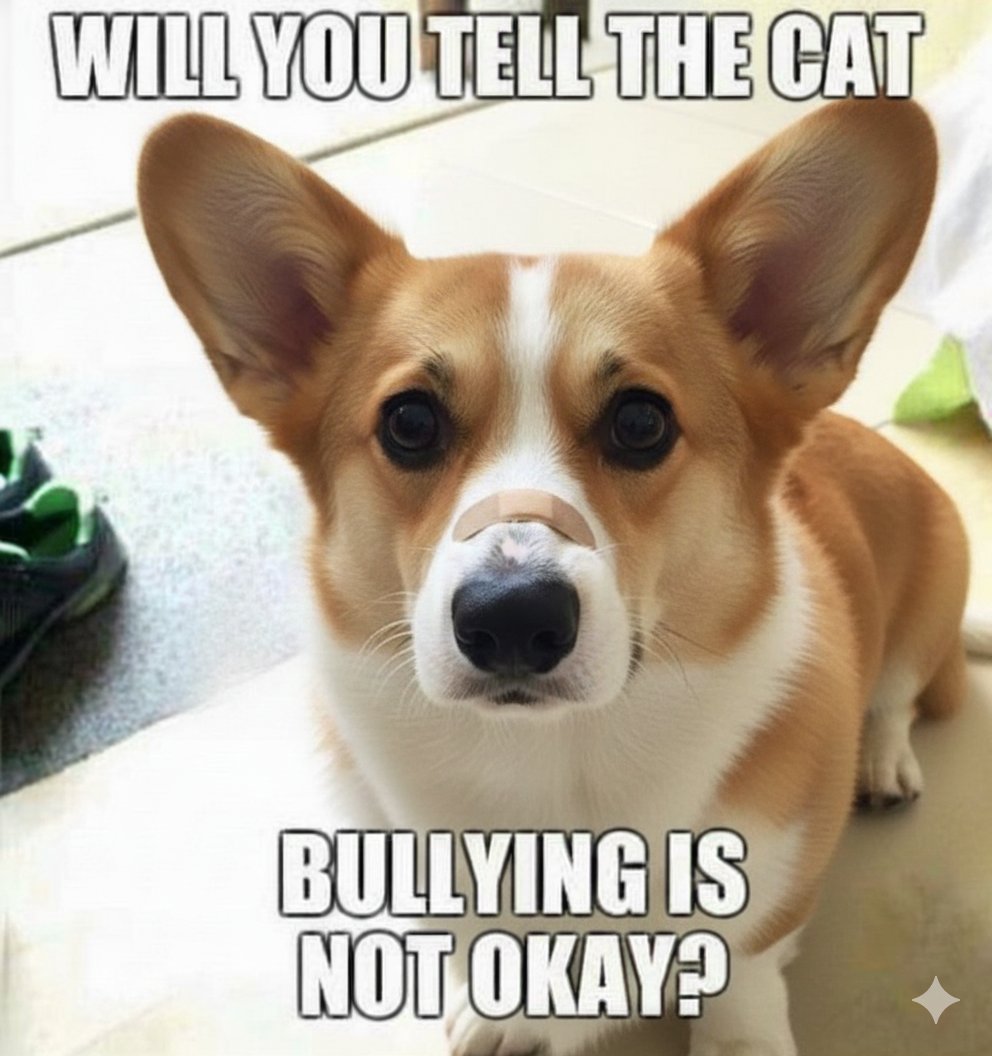 JosephineK1761's tweet photo. will you tell the cat Bullying is not okay?
#CorgiPride #CorgiClub #Corgis #CorgiAdventures #CorgiFun #PrincessWelshCorgi https://t.co/XrruPwHDDN