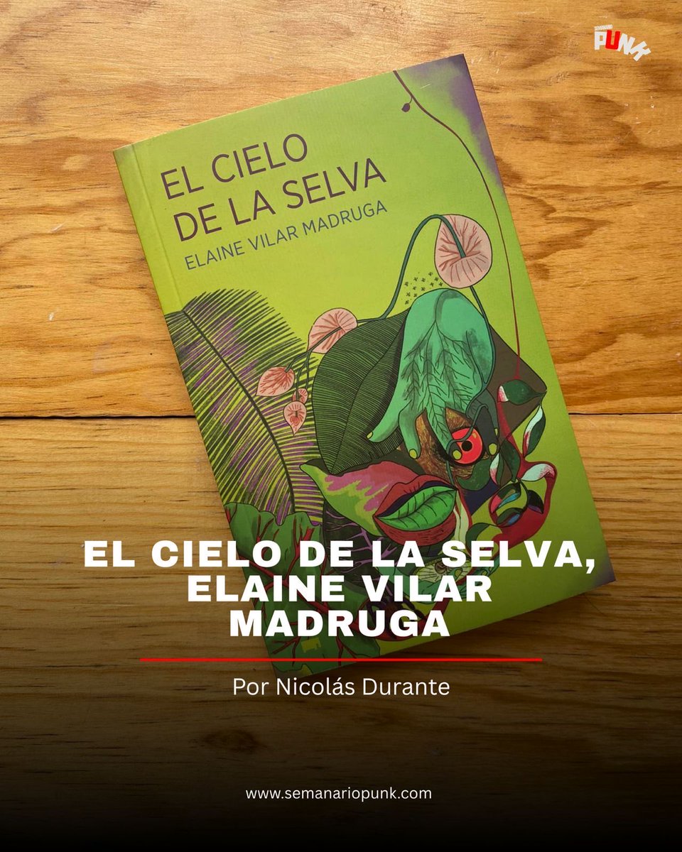 Armando Noriega tweet media