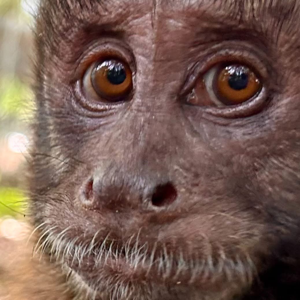 🧸 LAUREN 🧸 tweet media