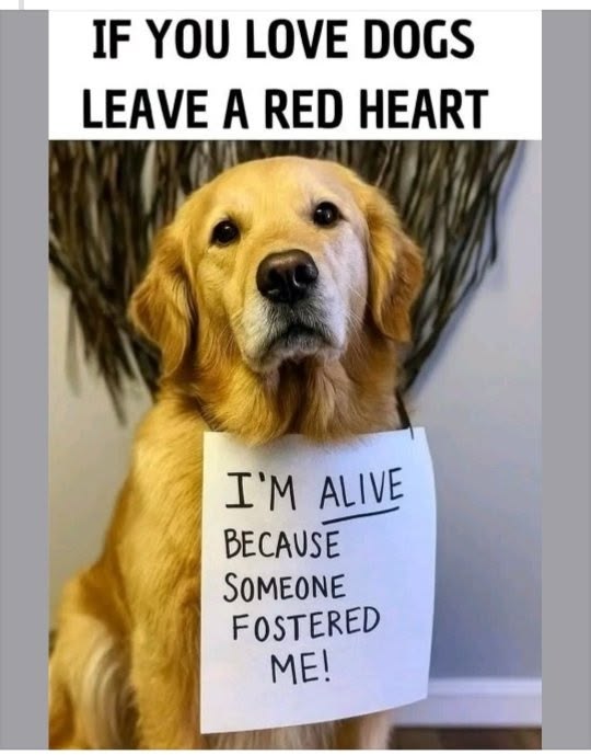 Beyond The Leash tweet media