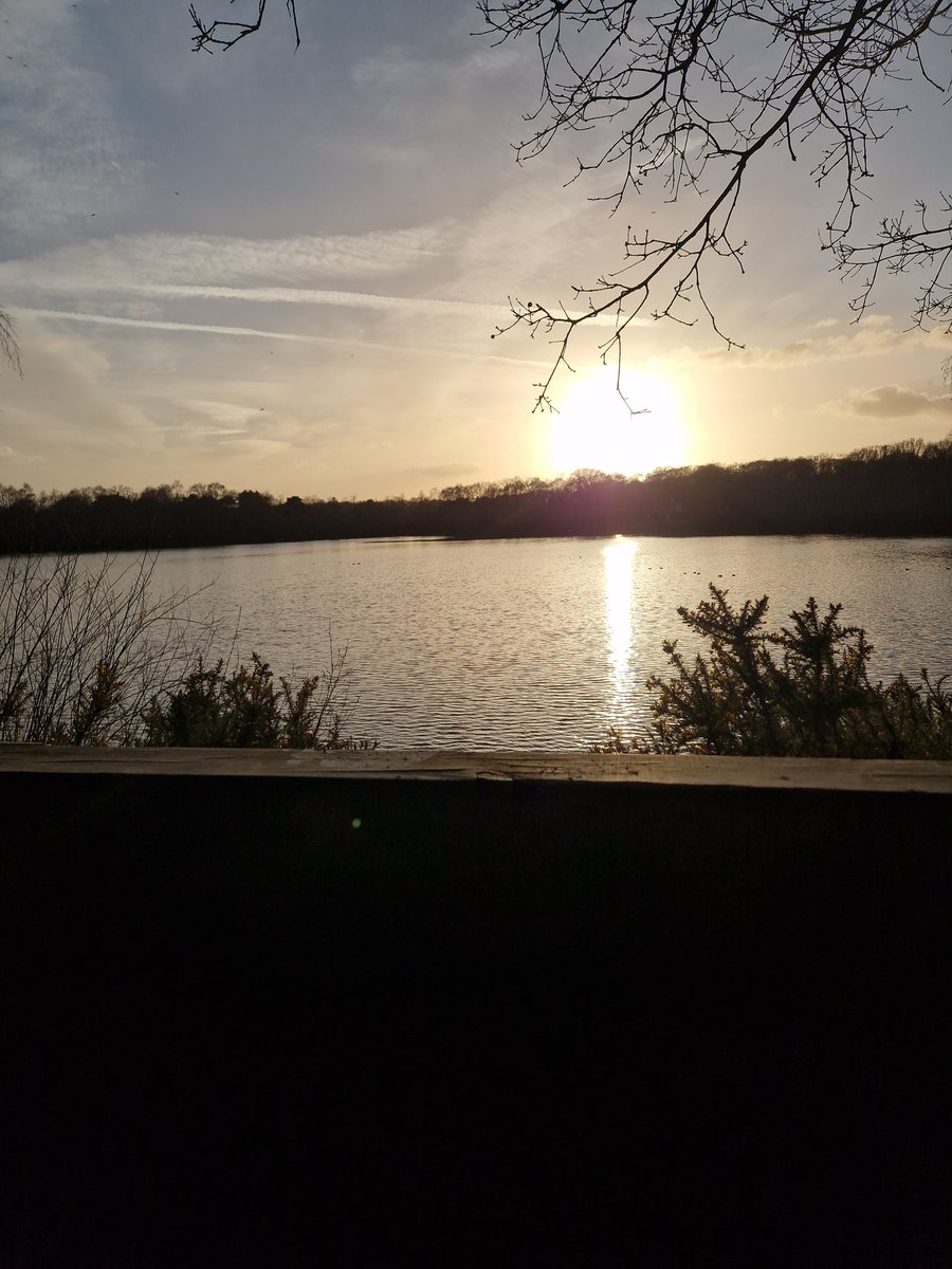 Ben Grundy tweet media