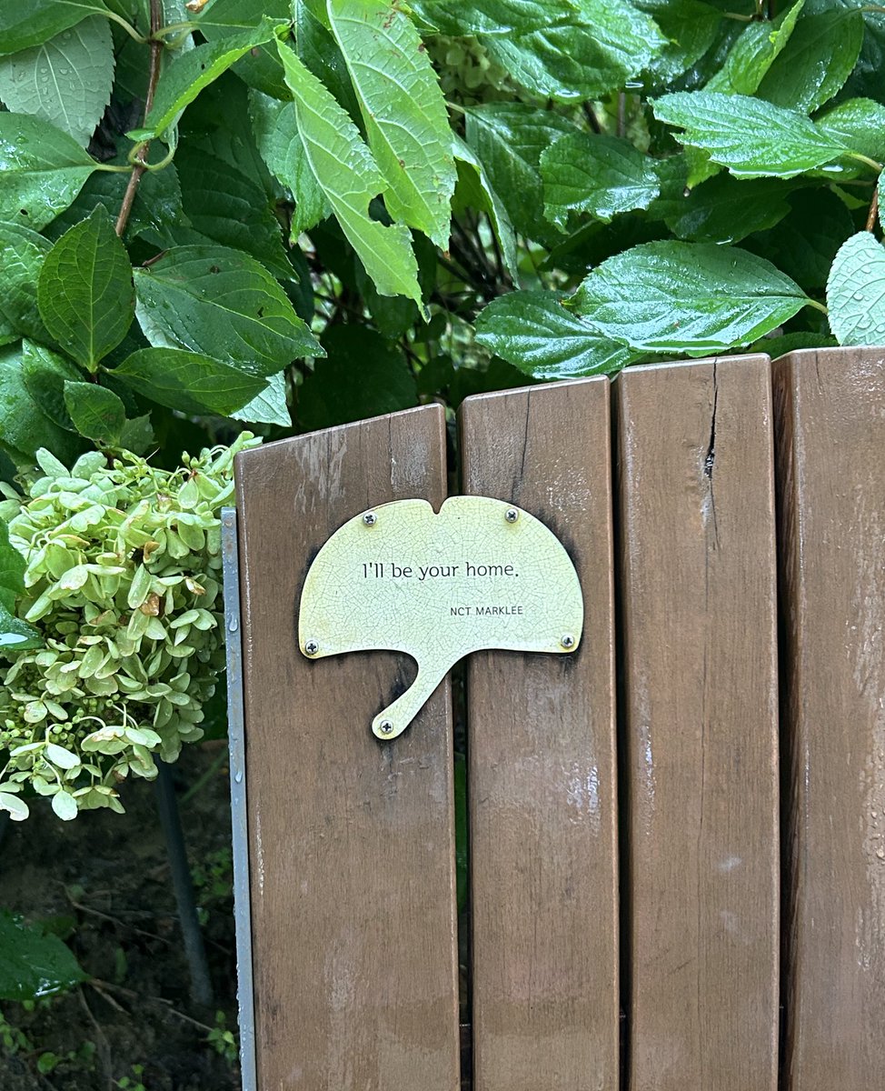 mari ★ tweet media