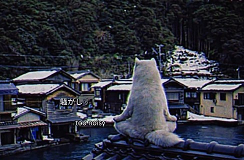 MoonShotMatt tweet media