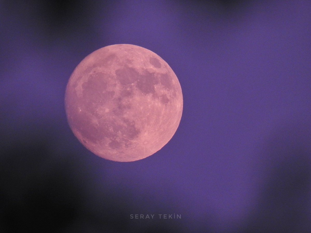 SerAy🌙🔭🇹🇷 tweet media