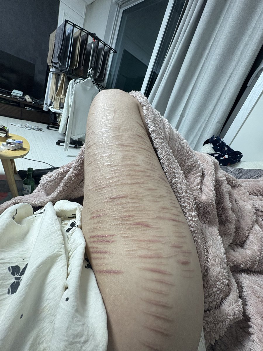 니기미야옹 tweet media