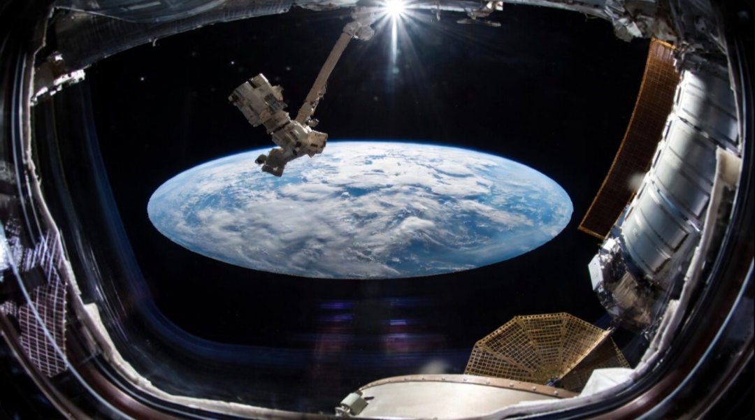 William Allen 🇺🇸 🇨🇦 tweet media