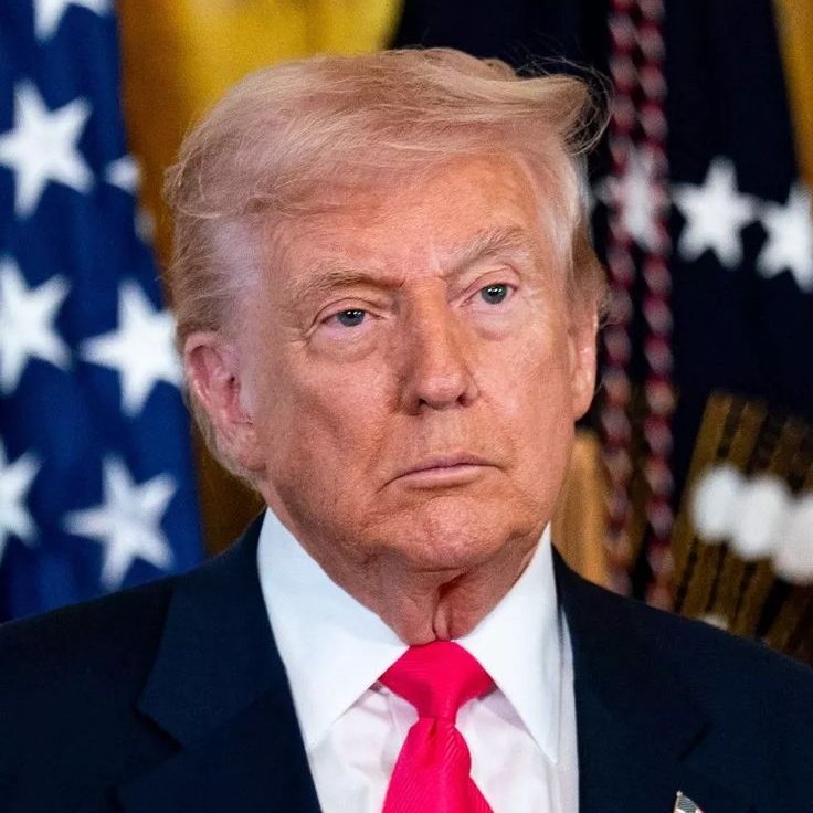 Crypto Rover tweet media