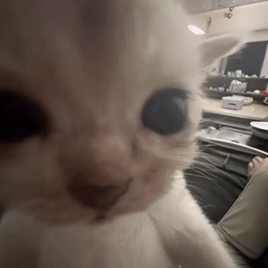 tigresa da gal ta na ufmg!! tweet media